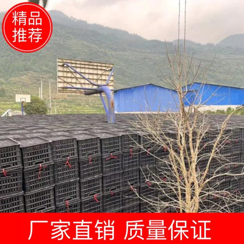 周转筐厂家直销，质量保证，量大从优，欢迎各位老板前来选购