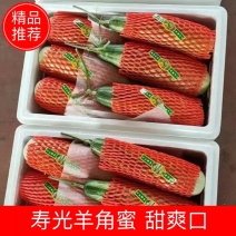 羊角蜜甜瓜温室大棚果蔬基地承接各地客商，批发商，电商微团购