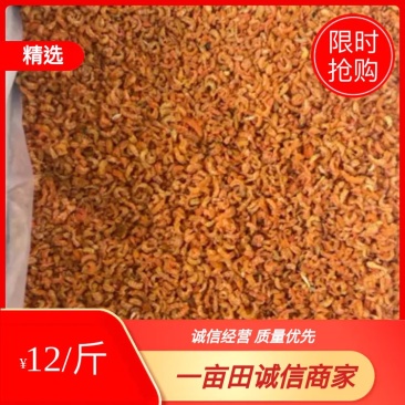 小海米虾米山东日照厂家直销规格齐全可视频看货