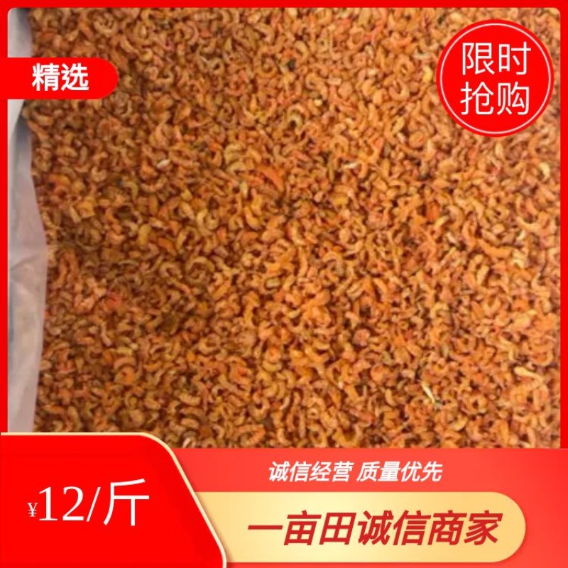 小海米虾米山东日照厂家直销规格齐全可视频看货