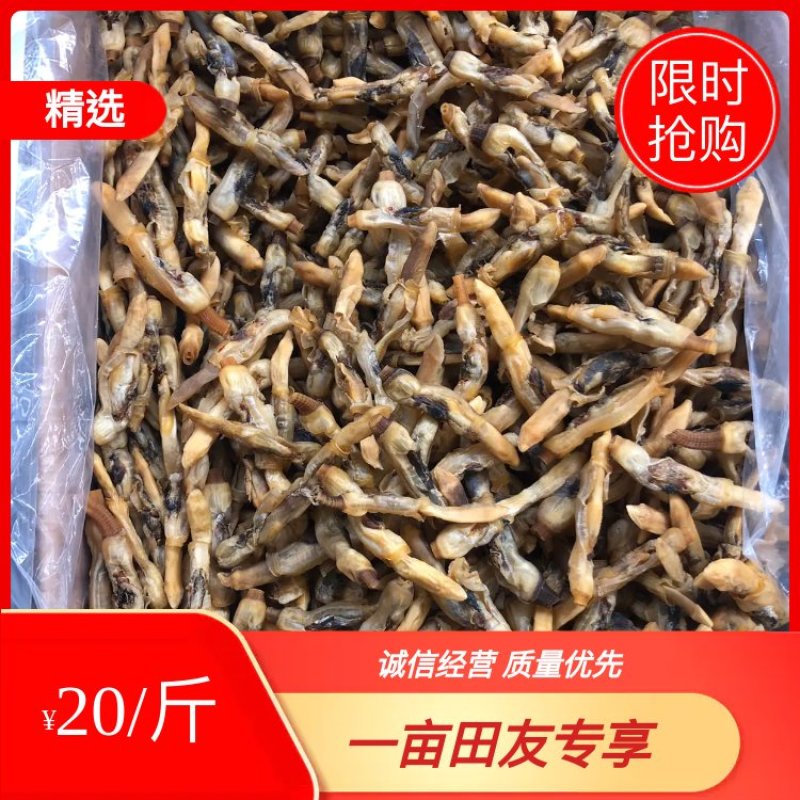 蛏干海蛏干山东日照厂家直销规格齐全可视频看货