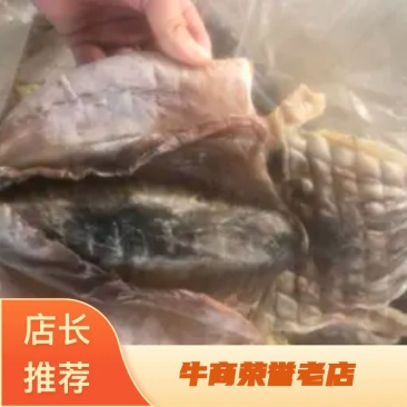 墨鱼墨鱼干大量有货山东日照厂家直销规格齐全可视频看货