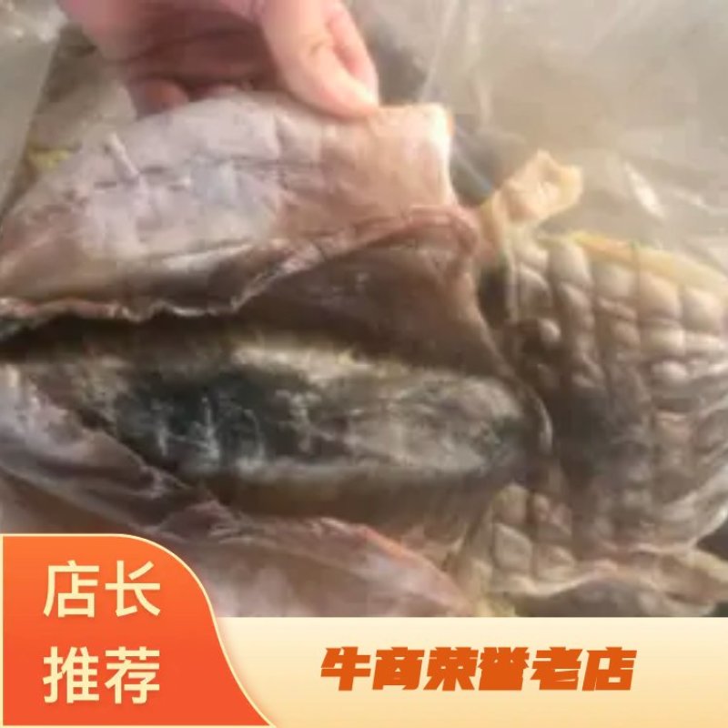 墨鱼墨鱼干大量有货山东日照厂家直销规格齐全可视频看货