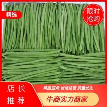 云南精品豆角扁豆角产地现货量大从优一手货源品质