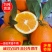 【精品推荐】脐橙大量上市现摘现发全国批发超市档口供货