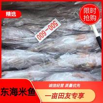 东海米鱼，不加冰不泡水原汁原味
