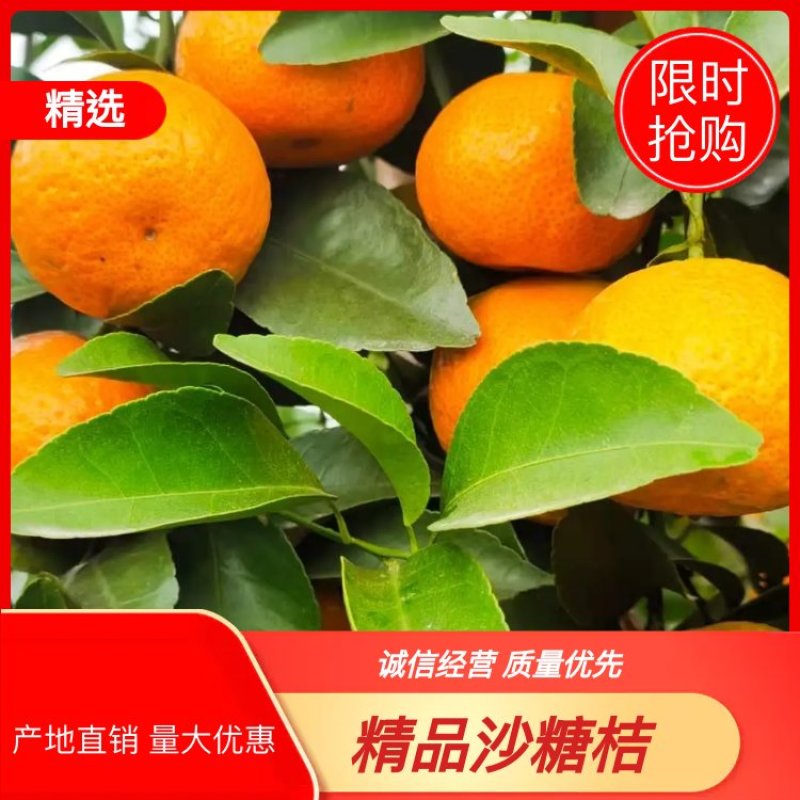 正宗沙糖桔，清甜水分多，提供便宜回头车，按需包装