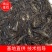 黄桑鱼苗黄骨鱼苗黄辣丁鱼场直供