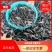 广东东莞青鱼苗成活率高可代发支持视频看货