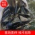 花鲢鱼苗、大头鱼苗。规格很漂亮的，价格实惠。