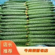 精品密刺黄瓜