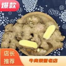 云南本地小黄姜，姜母大量供应一手货源基地直发视频看货