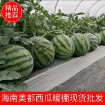 海南美都西瓜，海南麒麟西瓜大量上市欢迎采购