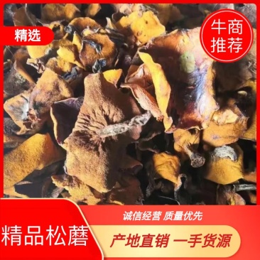 精品松蘑，产地直销，一手货源，欢迎选购。