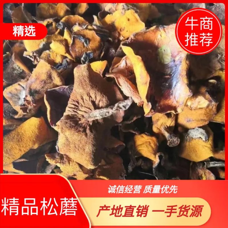 精品松蘑，产地直销，一手货源，欢迎选购。