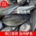 【塘口直供】食用加州鲈鱼皮毛条形层层把关垂钓商场专用
