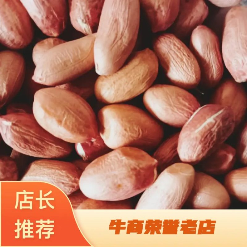 花生芽种子9616/花育25芽苗菜种批发，产地直发。