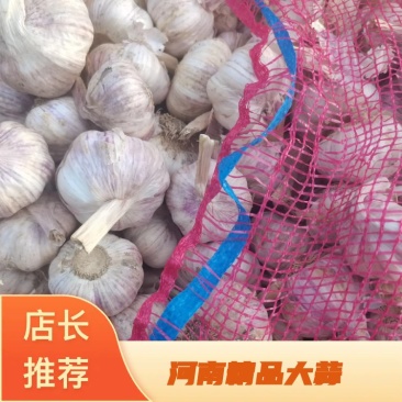 河南大蒜皮薄肉厚代发市场对接电商商超社区团购一件代发