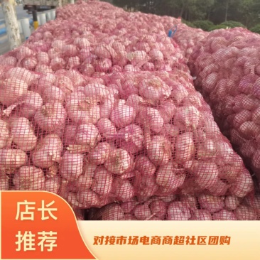 河南精品大蒜，个头大，对接电商商超社区团购，代发市场