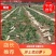 白萝卜基地直供沙土地种植保证质量现货销售中需要的朋友联系