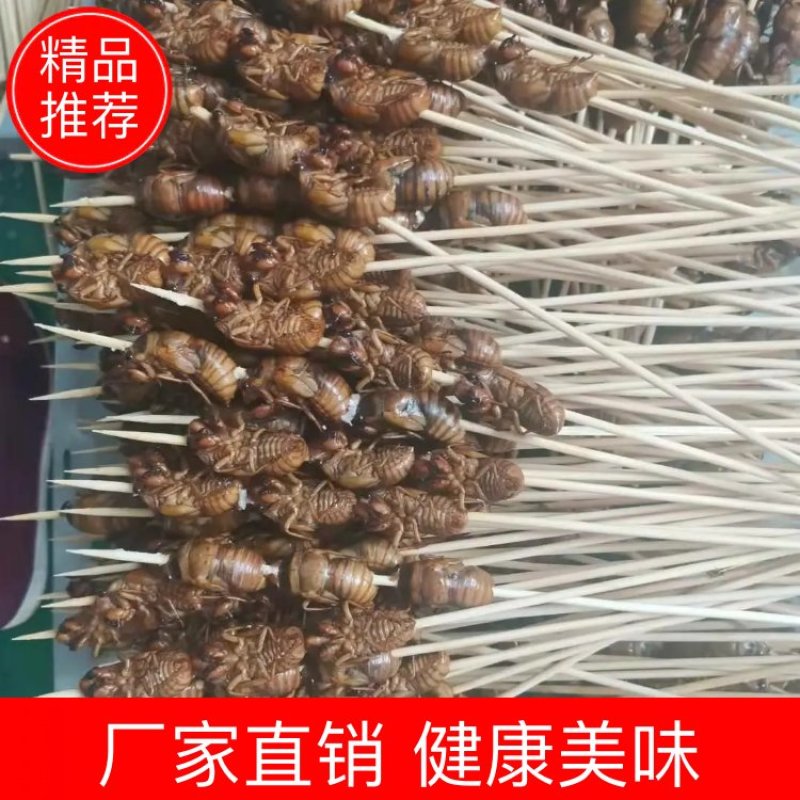 阜阳金蝉串，新鲜知了猴串，烧烤批发市场供货，质量保证