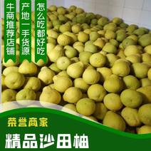 【荐】农家精品沙田柚，产地直发，货源充足，品质保证
