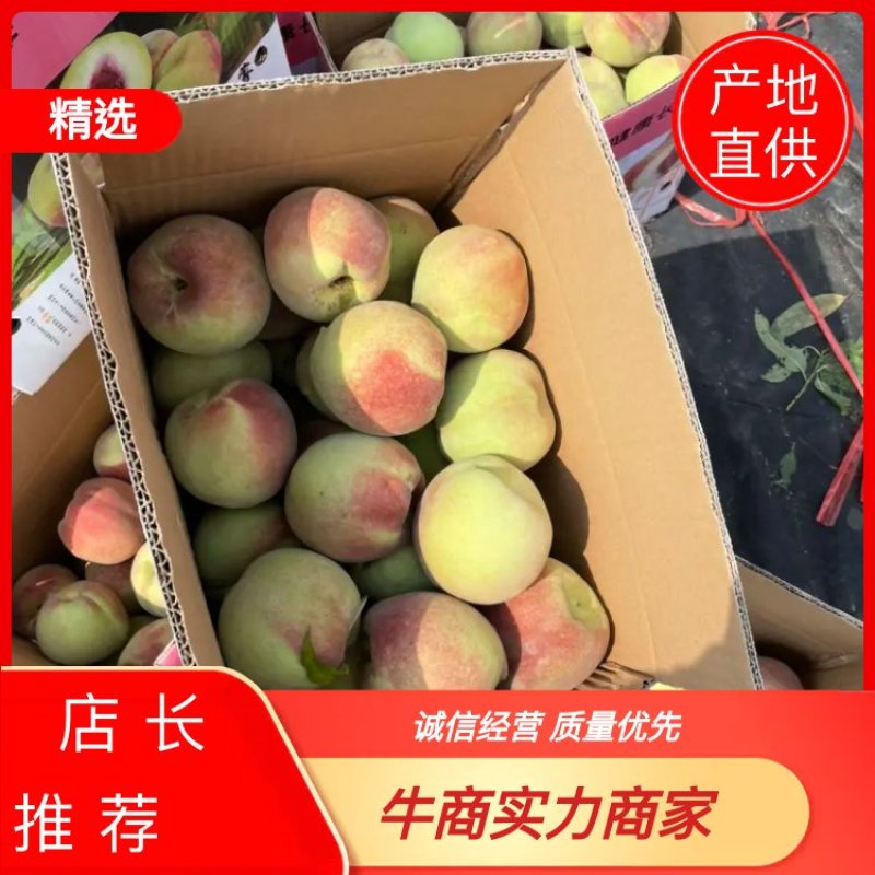 山东精品冬桃压边桃大东桃大量上市品质保证清甜香脆