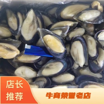 蓝口贝青口贝贻贝海虹欢迎老板下单诚信经营质量优先