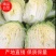 【白菜】精品大白菜产地直销保质保量【坏单包赔】