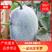 云南香冬瓜，香，腼，产地直发品质保证诚信经营