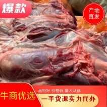 清真国产牛腱子肉一手货源