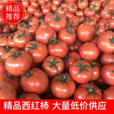 西红柿，果型好，个头均匀，有亮度，有光泽，弧三以上