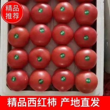 西红柿，果型好，有亮度，弧三以上，量大，有需要的可以联系
