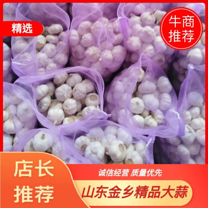 山东金乡大蒜，代收代发代存提供行情走势本地优质精品红皮大
