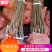 (热销）蜂糖李子苗产区直供，货源充足，量大从优，欢迎订购