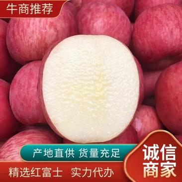 精品辽宁红富士苹果日照充足香甜可口产地直销欢迎采购
