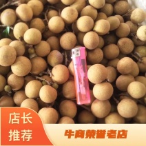 石硖龙眼大量上市，产广东电白地代办欢迎来电咨询