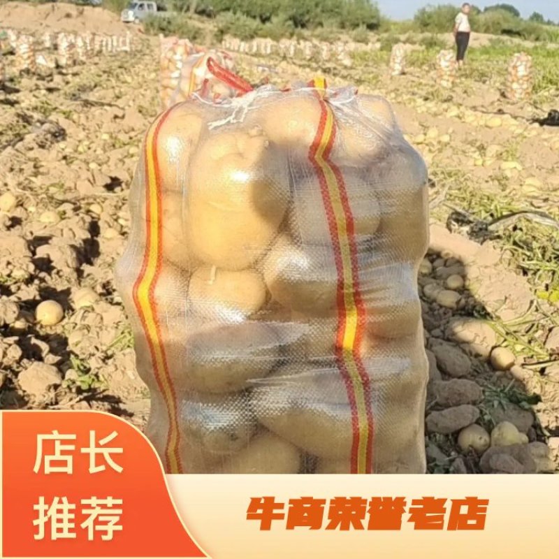 v7土豆纯沙地货货量充足价格实惠品质保证欢迎来电咨询