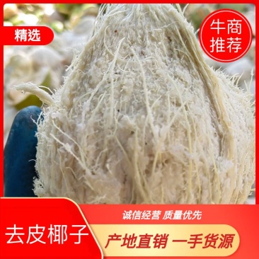 新鲜椰白，正宗海南文昌特产，去皮椰子，易开口