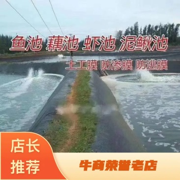 防渗膜土工膜0.3mm-3.0mm可定制防渗防水