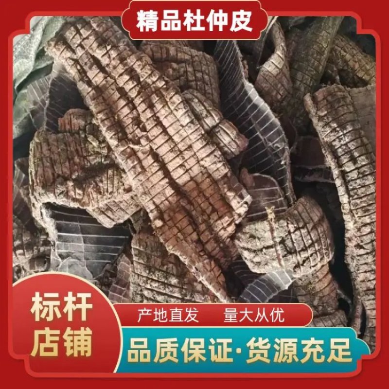 【热】精品广西杜仲皮产地直发，品质保证，量大从优