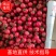商河精品圣女果釜山88圣女果小番茄小柿子产地直发