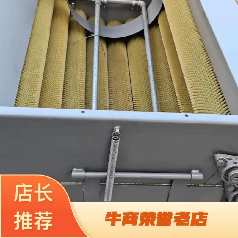 【推荐】清洗机山东果蔬清洗机沉垫池水循环式红枣清洗机