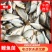 贵州鲤鱼苗，货源充足，水产养殖企业，农村水产，高密度养殖