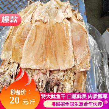 【全国批发】浙江鱿鱼干海鲜干度9成肉厚鲜美产地直供一手货源
