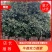 湖北精品红叶石楠树大量批发2-10公分品种齐全