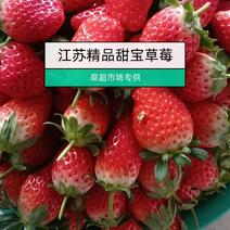 江苏草莓甜宝草莓商超连锁店专供品质好可视频货量足