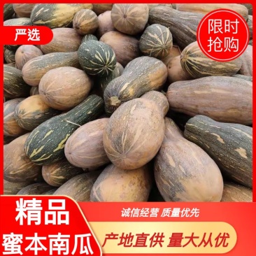 产地直供蜜本南瓜大量上市口感面甜诚信经营保质保量