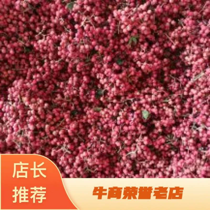 陕西省富平县大红袍花椒，农户产地花椒。