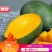 精品凯特芒果🥭🥭🥭🥭量大从优基地直发